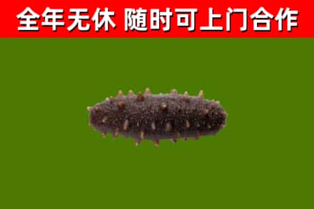 天祝烟酒回收干海参.jpg
